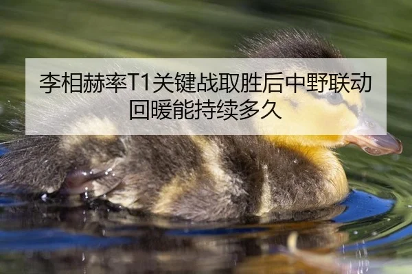 李相赫率T1关键战取胜后中野联动回暖能持续多久