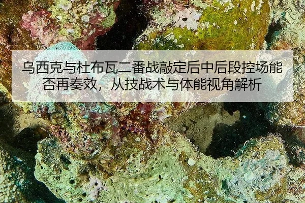 wu-xi-ke-yu-du-bu-wa-er-fan-zhan-qiao-ding-hou-zhong-hou-duan-kong-chang-neng-fou-zai-zou-xiao-cong-ji-zhan-shu-yu-ti-2-568.jpg