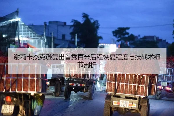谢莉卡杰克逊复出首秀百米后程恢复程度与技战术细节剖析